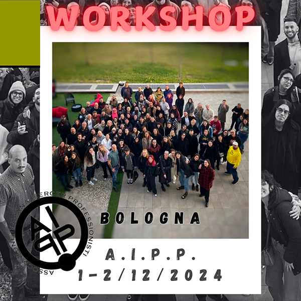 workshop-AIPP-bo-2024